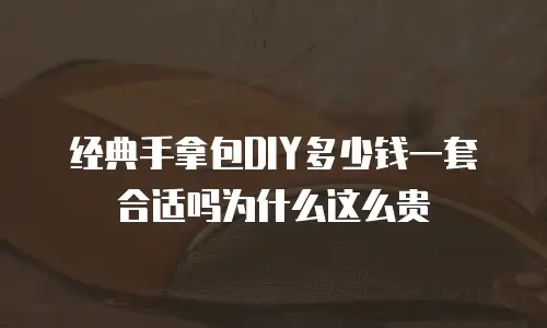 经典手拿包DIY多少钱一套合适吗为什么这么贵