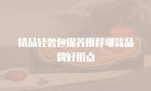 精品轻奢包保养推荐哪款品牌好用点