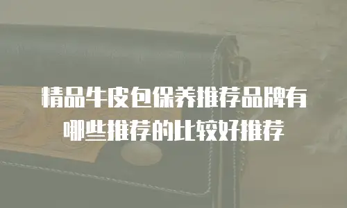 精品牛皮包保养推荐品牌有哪些推荐的比较好推荐