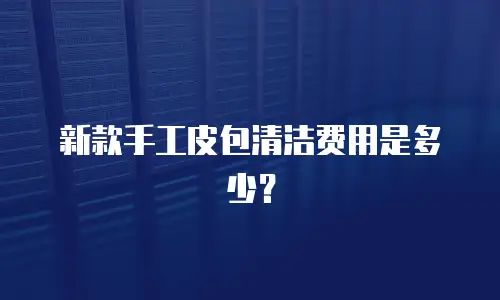 新款手工皮包清洁费用是多少？