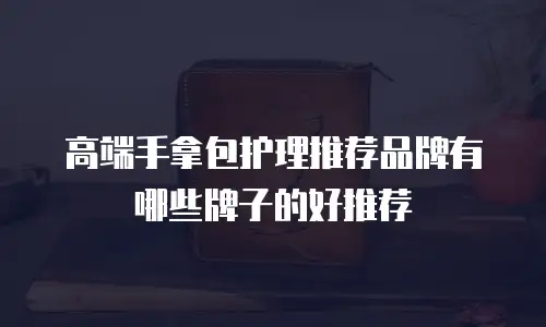 高端手拿包护理推荐品牌有哪些牌子的好推荐