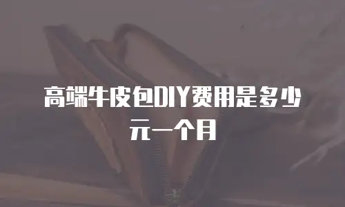 高端牛皮包DIY费用是多少元一个月