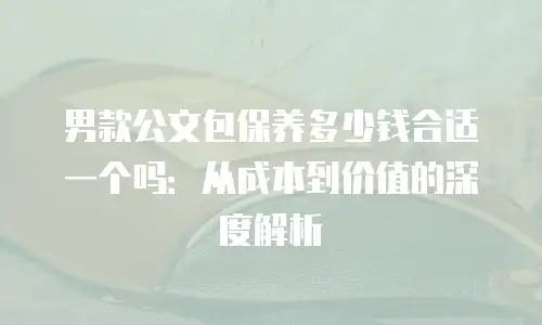 男款公文包保养多少钱合适一个吗：从成本到价值的深度解析