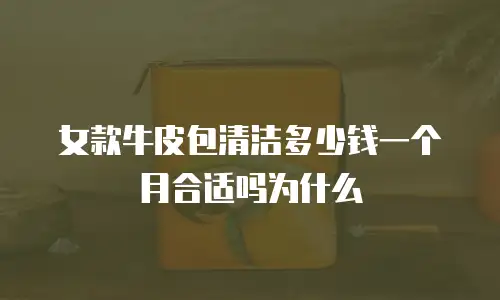 女款牛皮包清洁多少钱一个月合适吗为什么