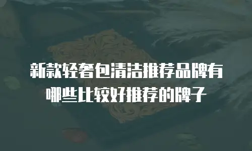 新款轻奢包清洁推荐品牌有哪些比较好推荐的牌子