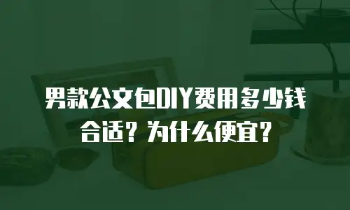 男款公文包DIY费用多少钱合适？为什么便宜？