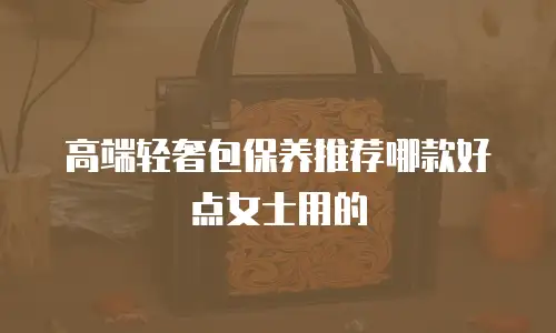 高端轻奢包保养推荐哪款好点女士用的