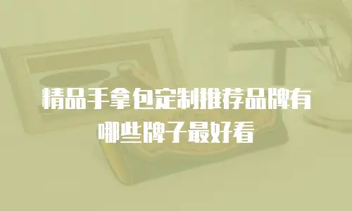精品手拿包定制推荐品牌有哪些牌子最好看