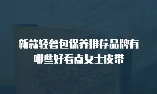 新款轻奢包保养推荐品牌有哪些好看点女士皮带