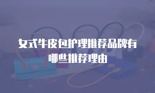 女式牛皮包护理推荐品牌有哪些推荐理由