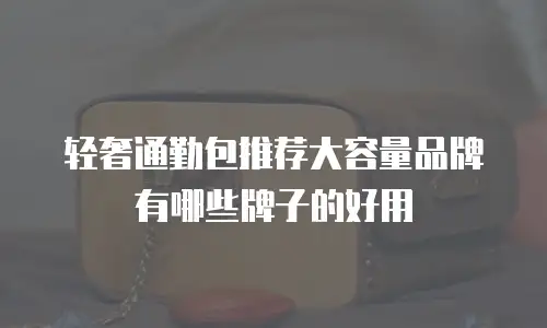 轻奢通勤包推荐大容量品牌有哪些牌子的好用