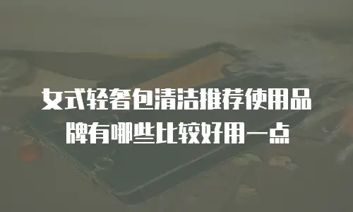 女式轻奢包清洁推荐使用品牌有哪些比较好用一点