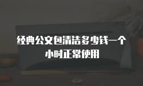 经典公文包清洁多少钱一个小时正常使用