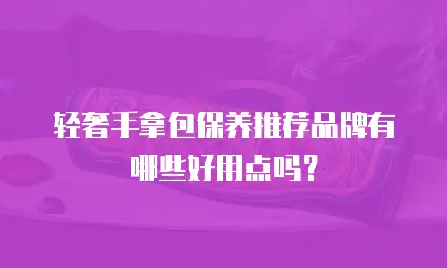 轻奢手拿包保养推荐品牌有哪些好用点吗？