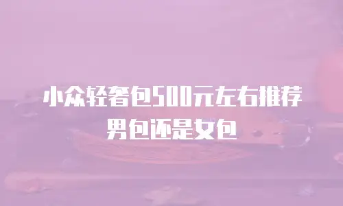 小众轻奢包500元左右推荐男包还是女包