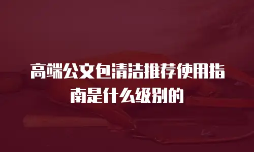 高端公文包清洁推荐使用指南是什么级别的