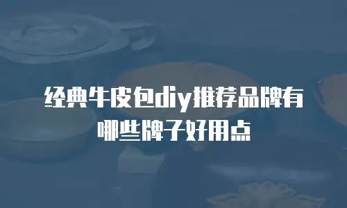 经典牛皮包diy推荐品牌有哪些牌子好用点