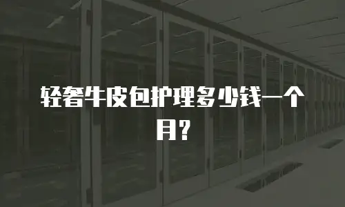 轻奢牛皮包护理多少钱一个月？