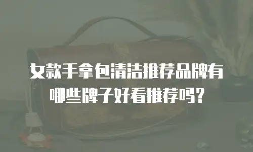 女款手拿包清洁推荐品牌有哪些牌子好看推荐吗？