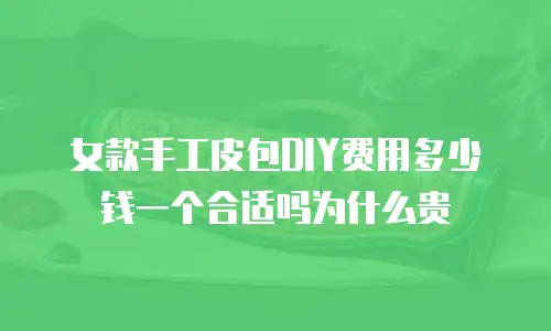 女款手工皮包DIY费用多少钱一个合适吗为什么贵