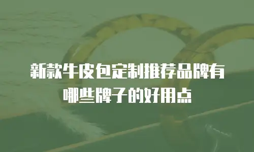 新款牛皮包定制推荐品牌有哪些牌子的好用点