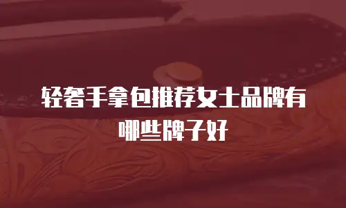 轻奢手拿包推荐女士品牌有哪些牌子好