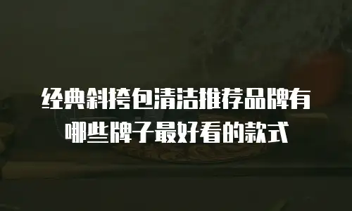 经典斜挎包清洁推荐品牌有哪些牌子最好看的款式