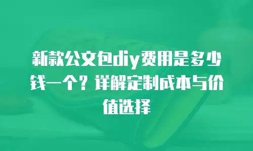 新款公文包diy费用是多少钱一个？详解定制成本与价值选择
