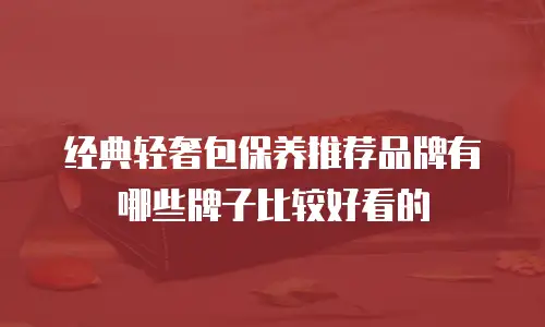 经典轻奢包保养推荐品牌有哪些牌子比较好看的