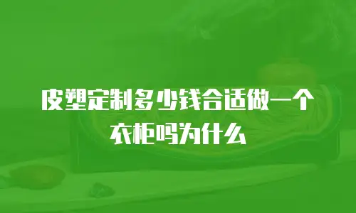皮塑定制多少钱合适做一个衣柜吗为什么