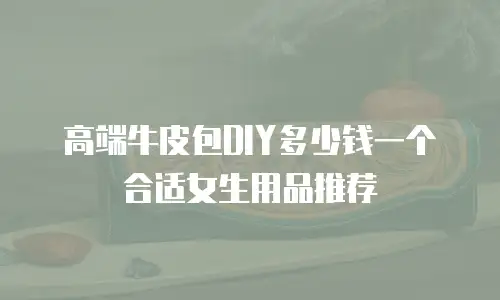 高端牛皮包DIY多少钱一个合适女生用品推荐