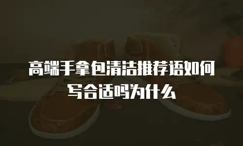 高端手拿包清洁推荐语如何写合适吗为什么