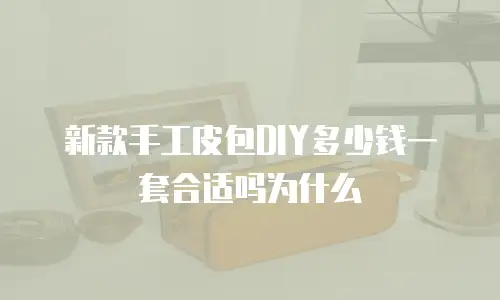 新款手工皮包DIY多少钱一套合适吗为什么