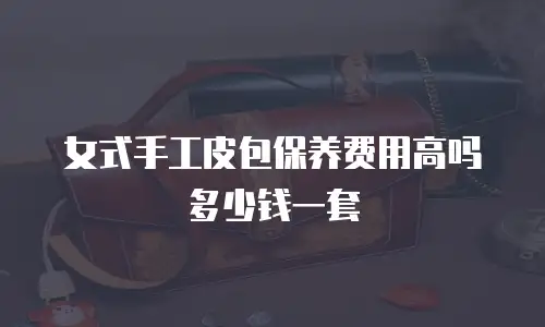 女式手工皮包保养费用高吗多少钱一套