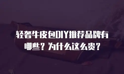轻奢牛皮包DIY推荐品牌有哪些？为什么这么贵？
