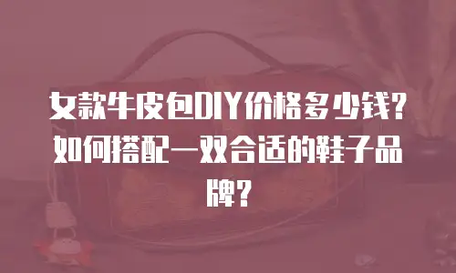 女款牛皮包DIY价格多少钱？如何搭配一双合适的鞋子品牌？