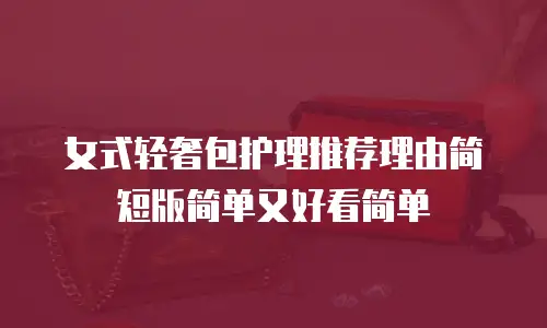 女式轻奢包护理推荐理由简短版简单又好看简单