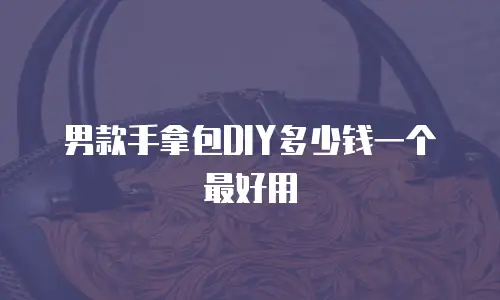 男款手拿包DIY多少钱一个最好用