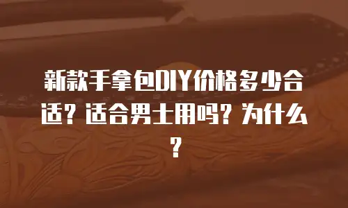 新款手拿包DIY价格多少合适？适合男士用吗？为什么？