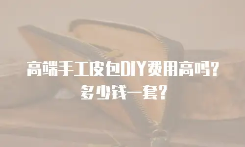 高端手工皮包DIY费用高吗？多少钱一套？