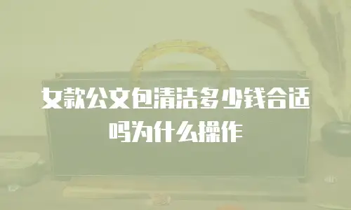女款公文包清洁多少钱合适吗为什么操作