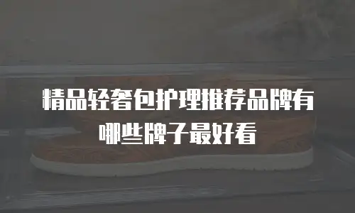 精品轻奢包护理推荐品牌有哪些牌子最好看