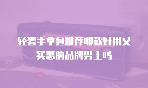 轻奢手拿包推荐哪款好用又实惠的品牌男士吗