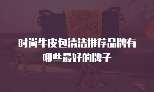 时尚牛皮包清洁推荐品牌有哪些最好的牌子