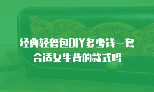 经典轻奢包DIY多少钱一套合适女生背的款式吗