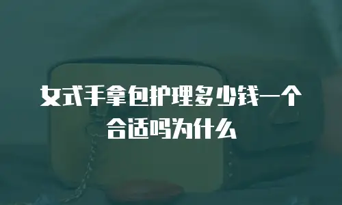 女式手拿包护理多少钱一个合适吗为什么