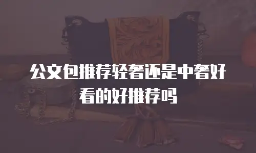公文包推荐轻奢还是中奢好看的好推荐吗