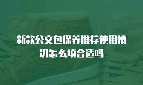 新款公文包保养推荐使用情况怎么填合适吗
