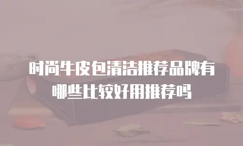 时尚牛皮包清洁推荐品牌有哪些比较好用推荐吗