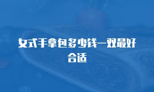 女式手拿包多少钱一双最好合适